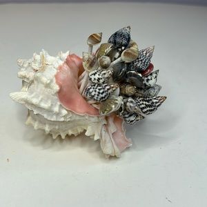 Natural seashell filled with appetizer toothpicks all with tiny shells on top